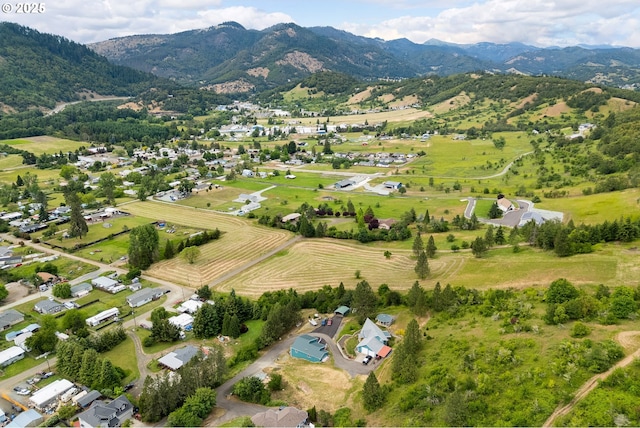 1140 Arburnia St, Myrtle Creek, OR 97457