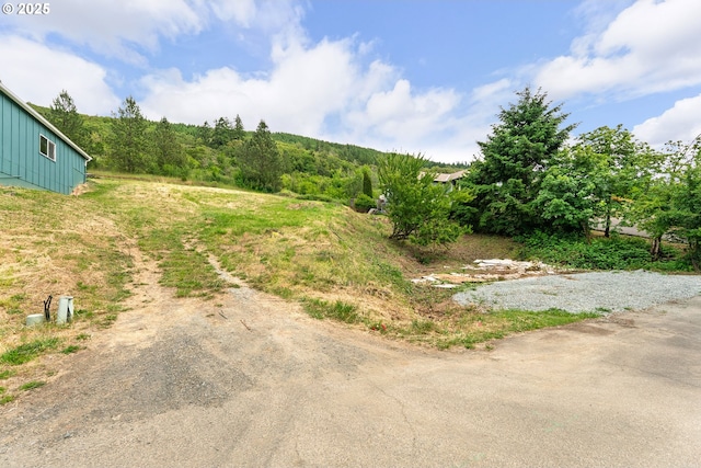 1140 Arburnia St, Myrtle Creek, OR 97457