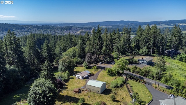 aerial view of a forest and a mountain backdrop