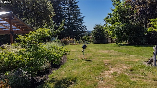 view of grassy yard