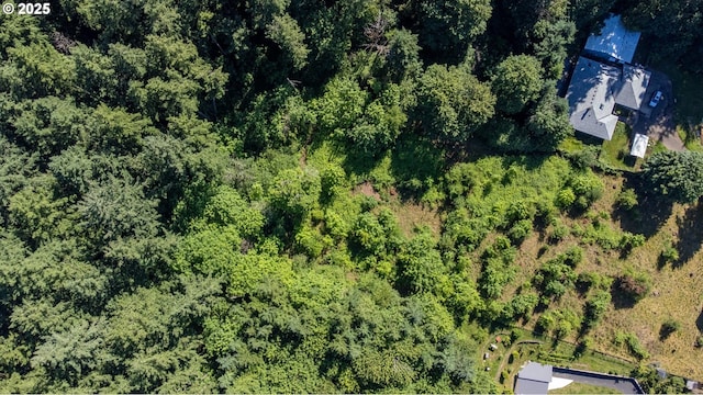 aerial overview of property's location