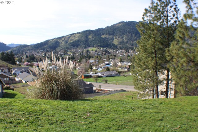 property view of mountains with a residential view