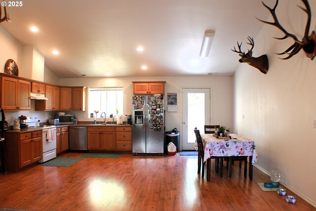 kitchen with stainless steel appliances, under cabinet range hood, a sink, and dark wood finished floors