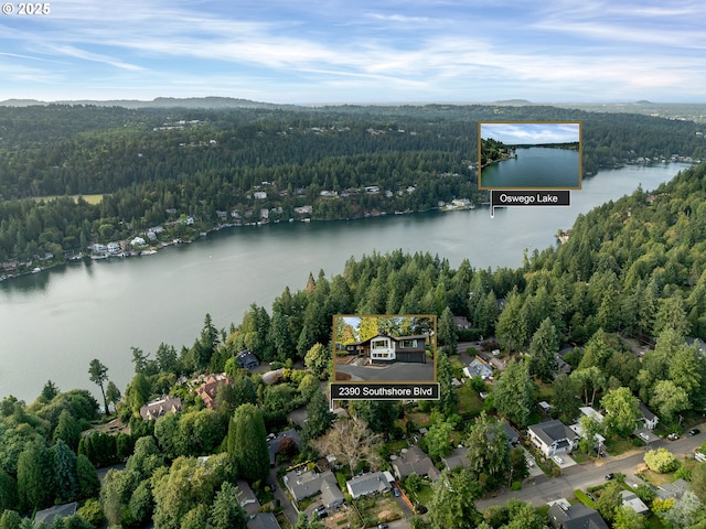 2390 Southshore Blvd, Lake Oswego, OR 97034 - aerial view of property and surrounding area with a large body of water and property parcel outlined