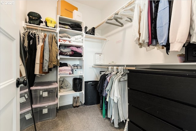 209 W Barbaras Way, Newberg, OR 97132 - walk in closet with carpet flooring