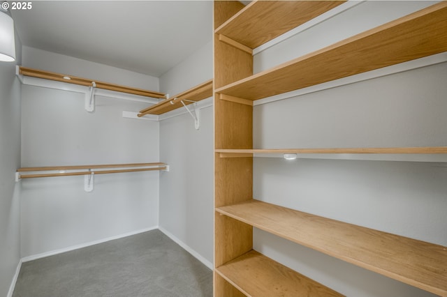 spacious closet featuring carpet flooring