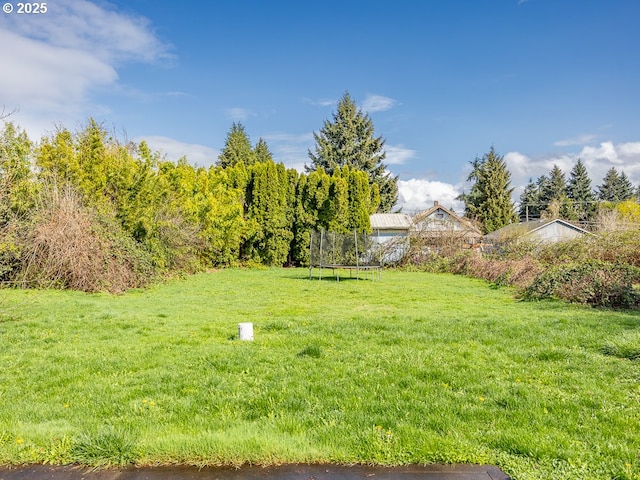 view of yard featuring a trampoline