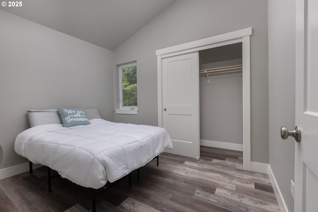 bedroom featuring lofted ceiling, hardwood / wood-style floors, and a closet