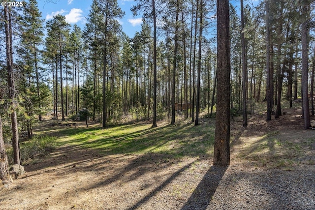 view of wooded area