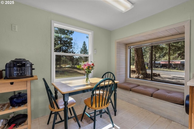 dining space featuring plenty of natural light