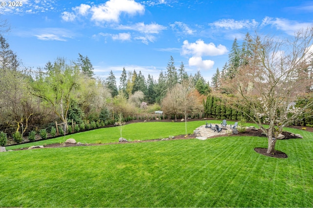view of grassy yard