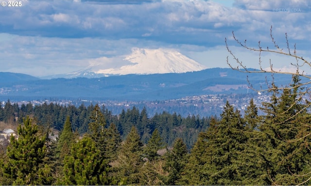 mountain view featuring a view of trees