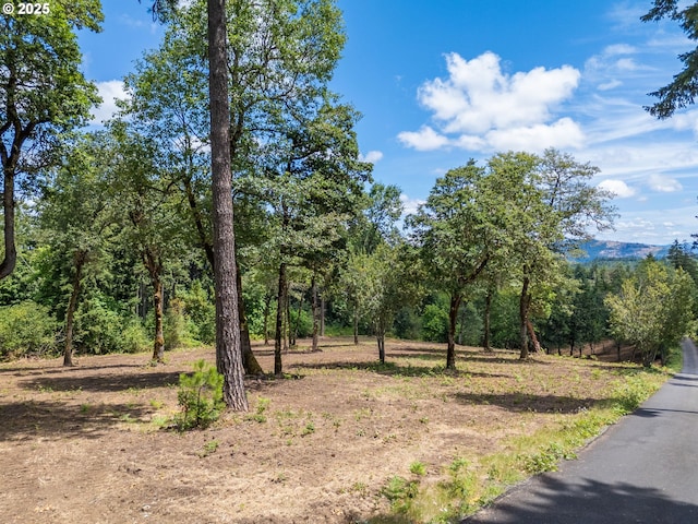 0 Spring Blvd, Eugene, OR 97405