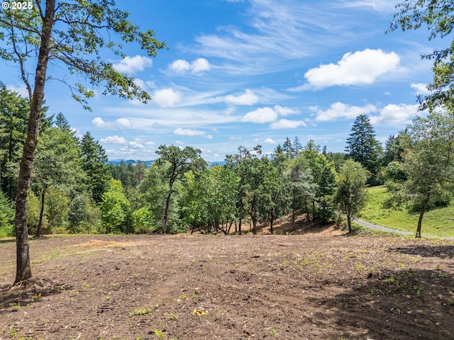 0 Spring Blvd, Eugene, OR 97405