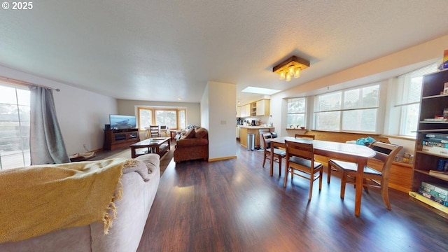 dining room with a textured ceiling and dark wood finished floors