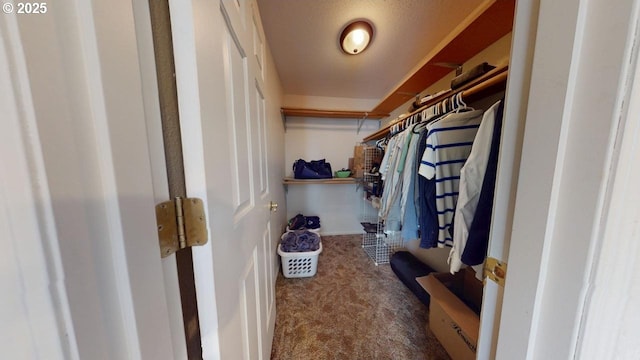 walk in closet with carpet floors