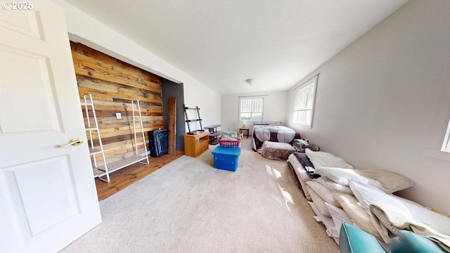 living room with wooden walls and carpet floors