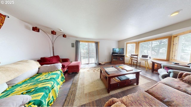 living room with a textured ceiling