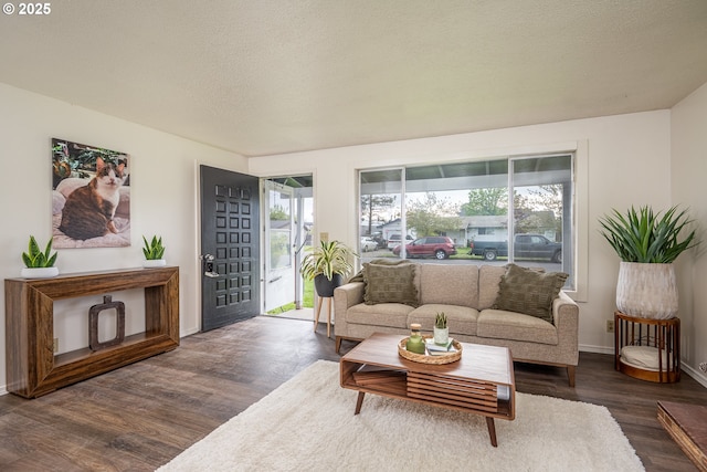 living room with baseboards, wood finished floors, and a textured ceiling