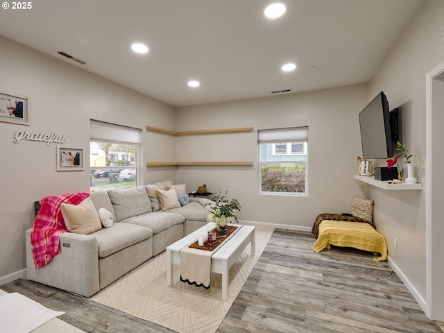 living room with a healthy amount of sunlight and light hardwood / wood-style flooring