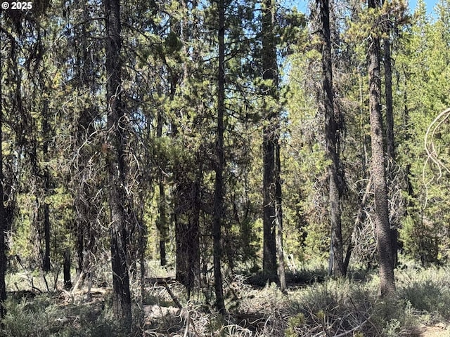 Bear Flat Rd Unit 3200, Chemult, OR 97731