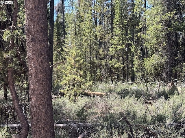 Bear Flat Rd Unit 3200, Chemult, OR 97731