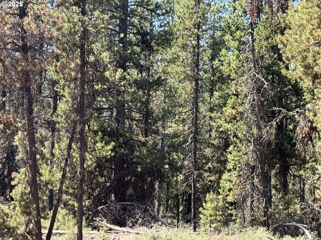 Bear Flat Rd Unit 3200, Chemult, OR 97731