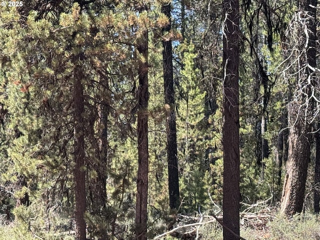 Bear Flat Rd Unit 3200, Chemult, OR 97731