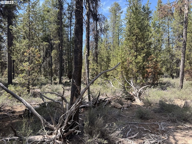 Bear Flat Rd Unit 3200, Chemult, OR 97731
