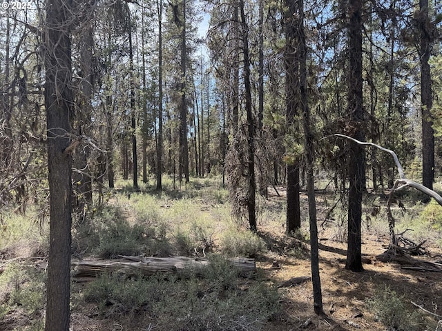 Bear Flat Rd Unit 3200, Chemult, OR 97731