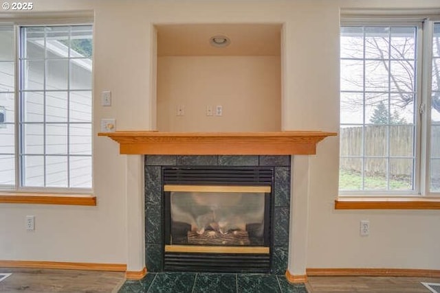 details with hardwood / wood-style floors and a fireplace