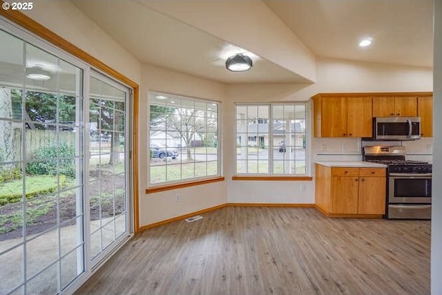 kitchen with light wood-type flooring, plenty of natural light, and appliances with stainless steel finishes