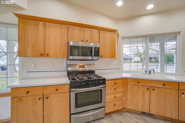 kitchen with a wealth of natural light, light hardwood / wood-style flooring, stainless steel appliances, and sink