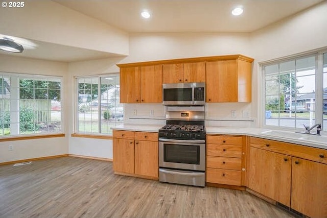 kitchen featuring light hardwood / wood-style floors, stainless steel appliances, and sink