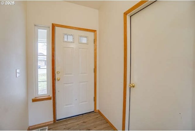 entryway featuring a wealth of natural light and light wood-type flooring