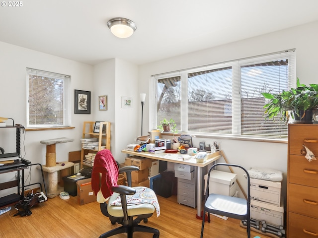 office area featuring light wood-style flooring