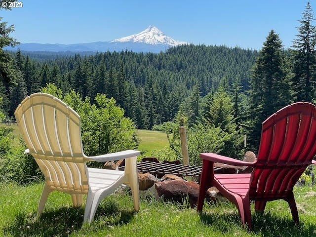 161 Acme Rd, White Salmon, WA 98672 - view of mountain backdrop with a forest