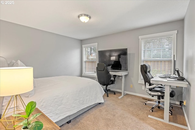 carpeted bedroom with multiple windows