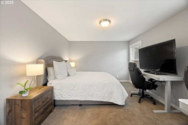 bedroom with carpet flooring