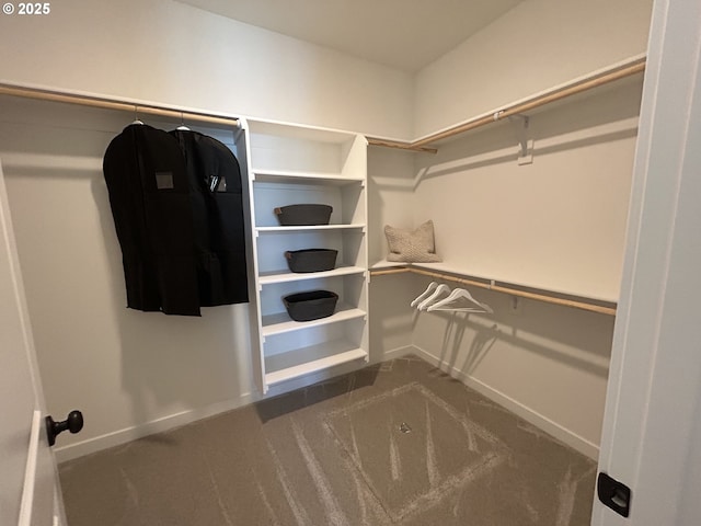 spacious closet with carpet floors