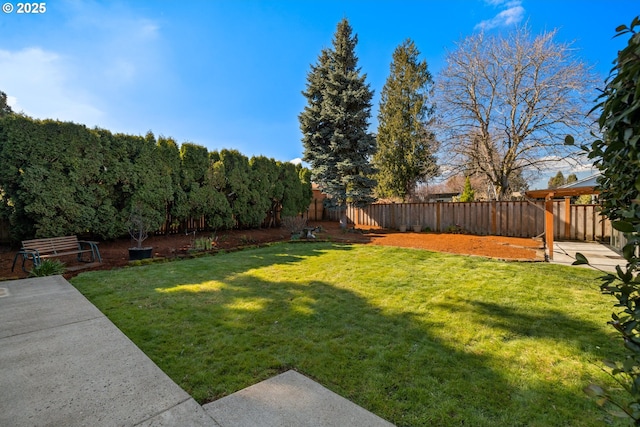 view of yard with a fenced backyard