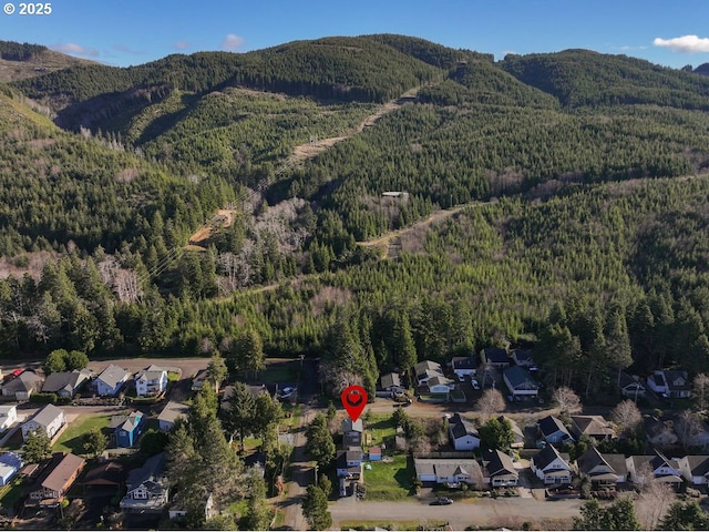 birds eye view of property featuring a mountain view