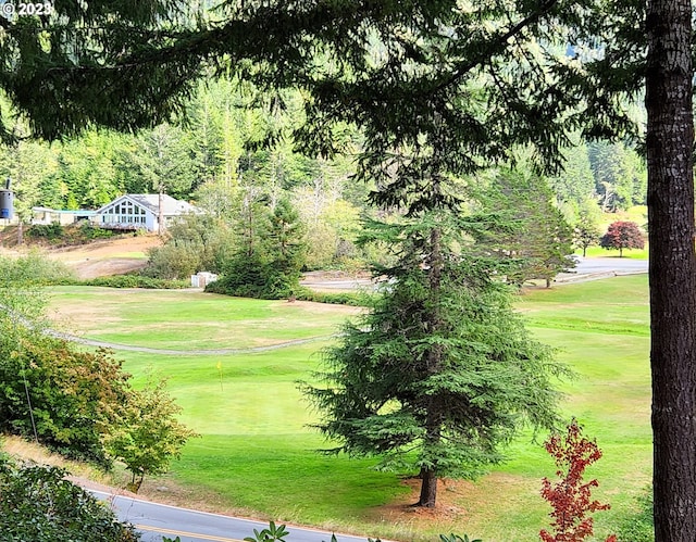 view of home's community featuring a lawn