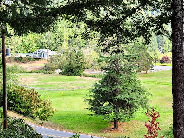 view of home's community featuring a yard