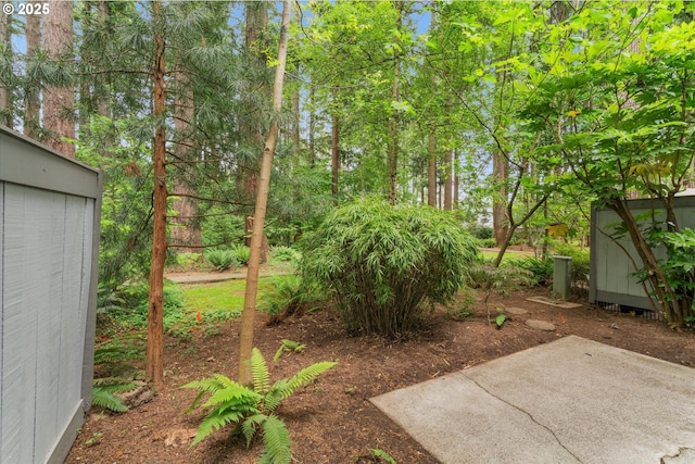 view of yard with a patio area