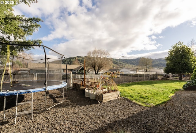 view of yard featuring a trampoline