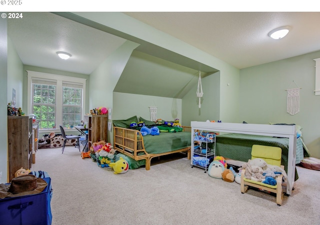 bedroom featuring carpet floors and a textured ceiling