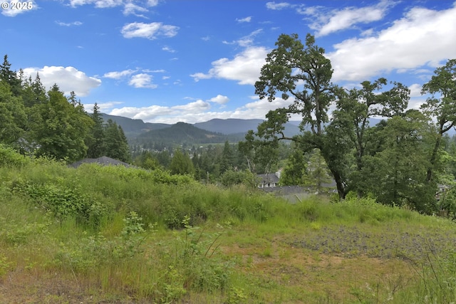 Forest Ridge Dr, Springfield, OR 97478