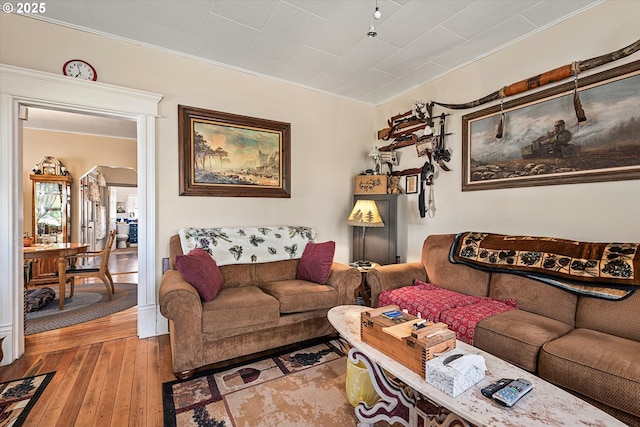 living room featuring wood-type flooring