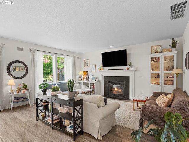17717 NE 26th St, Vancouver, WA 98684 - living room with light wood finished floors and a glass covered fireplace